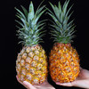 海南金钻凤梨二颗中大果净重4.1-4.5斤 商品缩略图7
