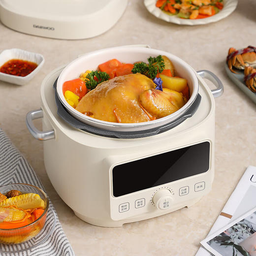 大宇（DAEWOO）智能电压力锅多功能煮饭煲汤涮火锅电压锅__DYYL-4L13_DYYL-4L13电压力锅_4L 商品图3