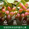 【新品尝鲜】碧欧奇开心果花生酱纯正宗无添加盐芝麻酱调料 商品缩略图3