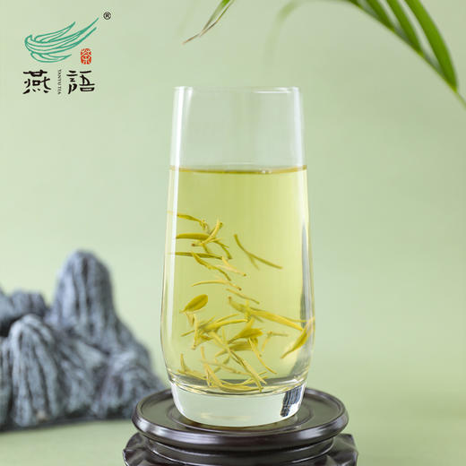 2026年燕语信阳毛尖绿茶礼盒180g 商品图4