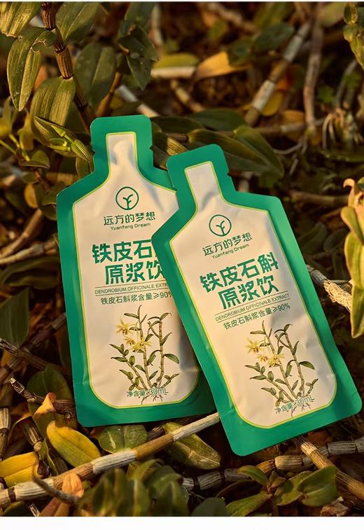 紫皮/铁皮石斛原浆 原浆含量≥90% 对胃好一点 商品图2