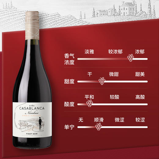 JS: 91卡萨布兰卡尼博山庄系列黑皮诺红葡萄酒 2021 智利Viña Casablanca Nimbus Pinot Noir Casablanca Valley DO 商品图1