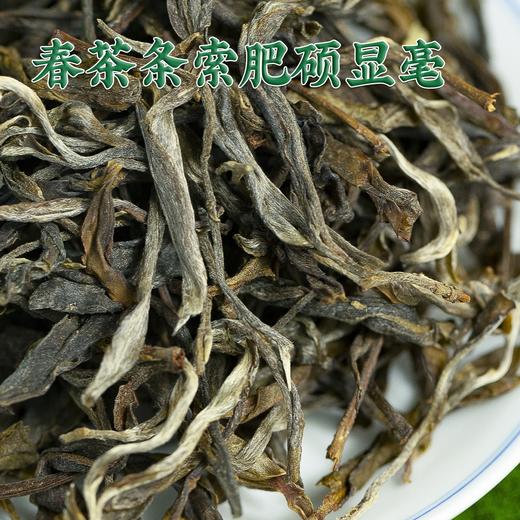2025年春茶 困鹿山核心产区乔木春茶醇料散茶50克/罐装 商品图2