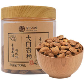 禾田印象·大白杏核 300g  橙黄好仁 果仁细腻