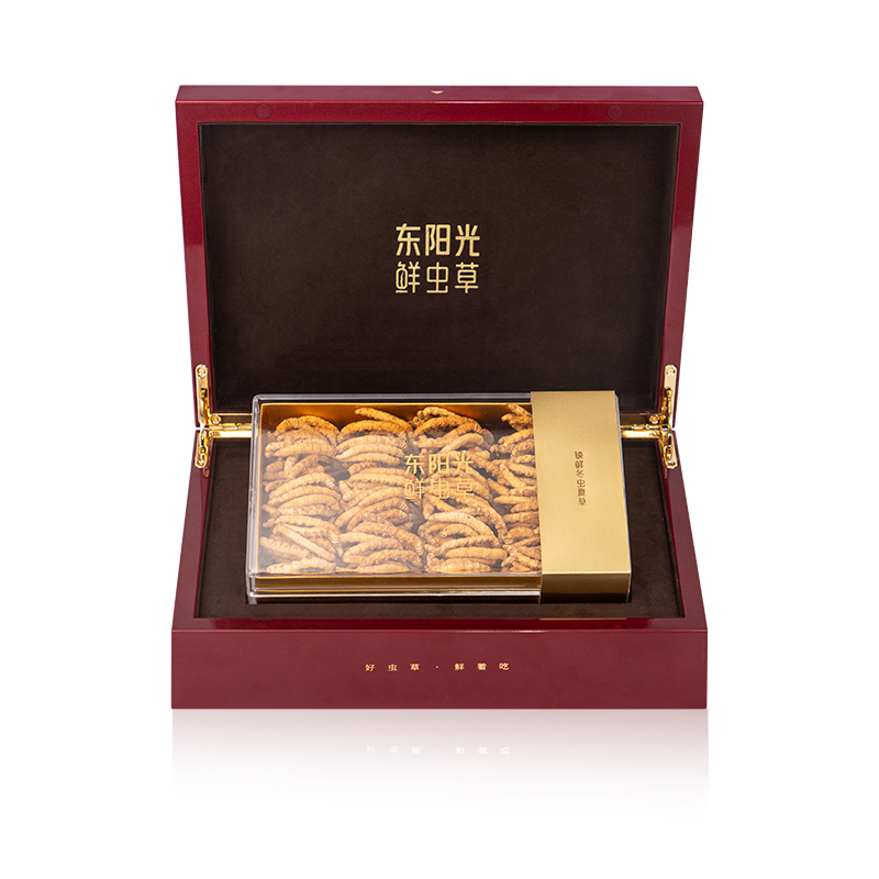 东阳光冬虫夏草 锁鲜虫草（S2400）100克装 2-3根/克 【锁鲜虫草 滋补礼盒】