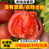 【流沙番茄 炒菜做汤一绝】【一斤装】 农家沙瓤 西红柿  自然生长 不催熟 酸甜多汁 番茄 1斤 商品缩略图0