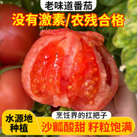 【流沙番茄 炒菜做汤一绝】【一斤装】 农家沙瓤 西红柿  自然生长 不催熟 酸甜多汁 番茄 1斤