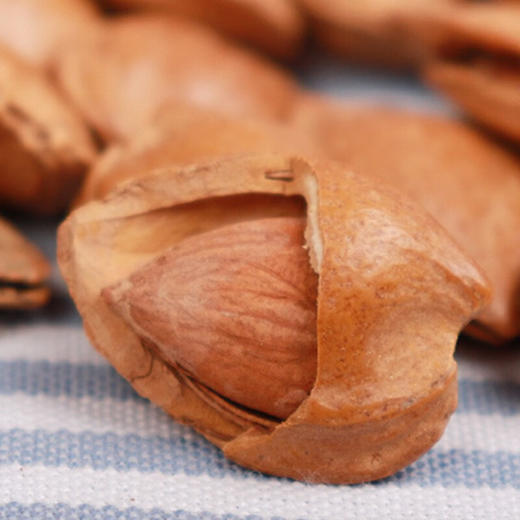 禾田印象·大白杏核 300g  橙黄好仁 果仁细腻 商品图4