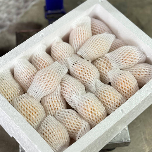 福建漳州云霄枇杷鲜果 当季新鲜时令水果（顺丰发货） 商品图4