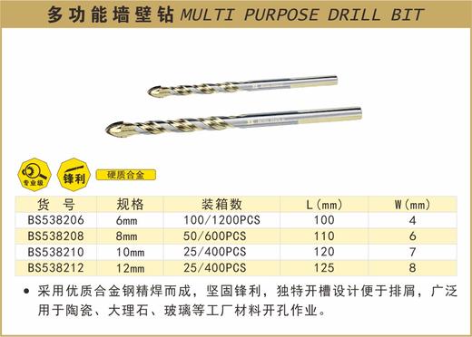 波斯 多功能墙壁钻10mm BS538210 商品图0