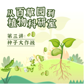 西北大学博物馆 | 【种子大作战】