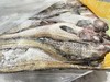 냉동명태/동태  두마리 (1200g좌우） 冷冻新鲜整条明太鱼 2条（2斤半左右） 商品缩略图0