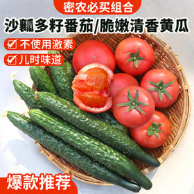 【包邮】【流沙番茄和长黄瓜】组合4斤自然生长 不催熟 现摘现发 清脆爽口