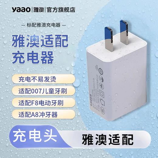 雅澳通用适配充电器 商品图0
