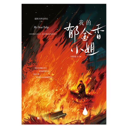 我的郁金香小姐。完结卷：全三册 | 上中下，完结卷，肖艾 / 陈艺 / 江桥，女房客三部曲，治愈纯爱流小说代表作品，抖音同名话题 3.2 亿播放 商品图5