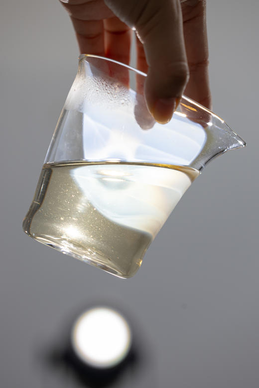 2020年 闽白时代·白牡丹 中雄御品180g/盒（5g*36泡) 商品图6