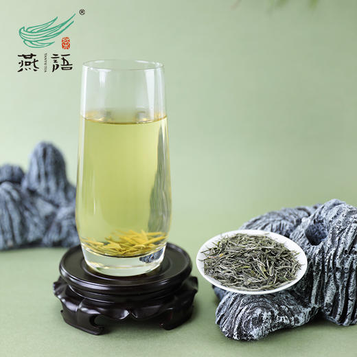 2026年燕语信阳毛尖绿茶50g（尝鲜装） 商品图4