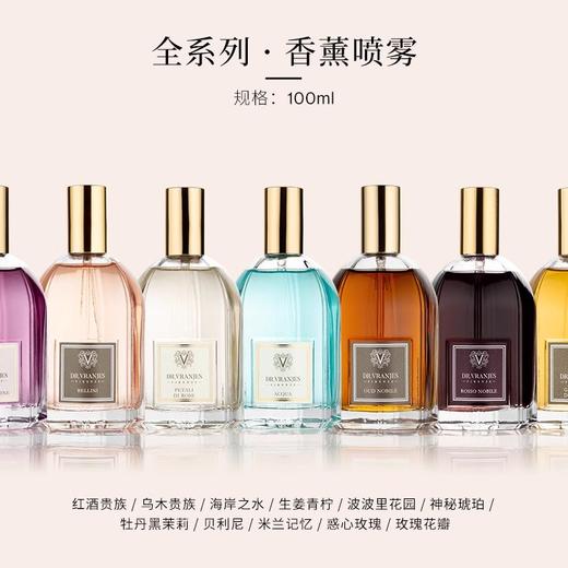 Dr.Vranjes馥意世香薰喷雾100ml卧室留香久熏香红酒贵族香薰喷雾100ml【不支持补差，非质量问题不退不换】S 商品图0