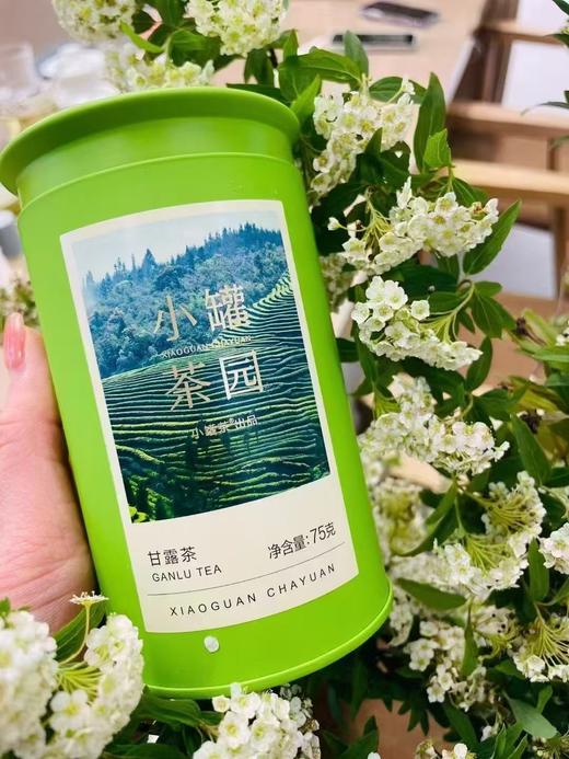 小罐茶园甘露茶2025新茶上市每罐75g搭配手提袋-伴手礼可选 商品图11