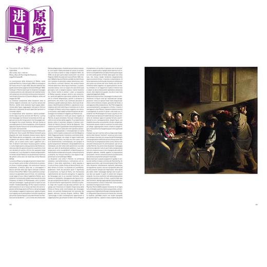 【中商原版】Caravaggio 进口艺术 卡拉瓦乔 商品图3