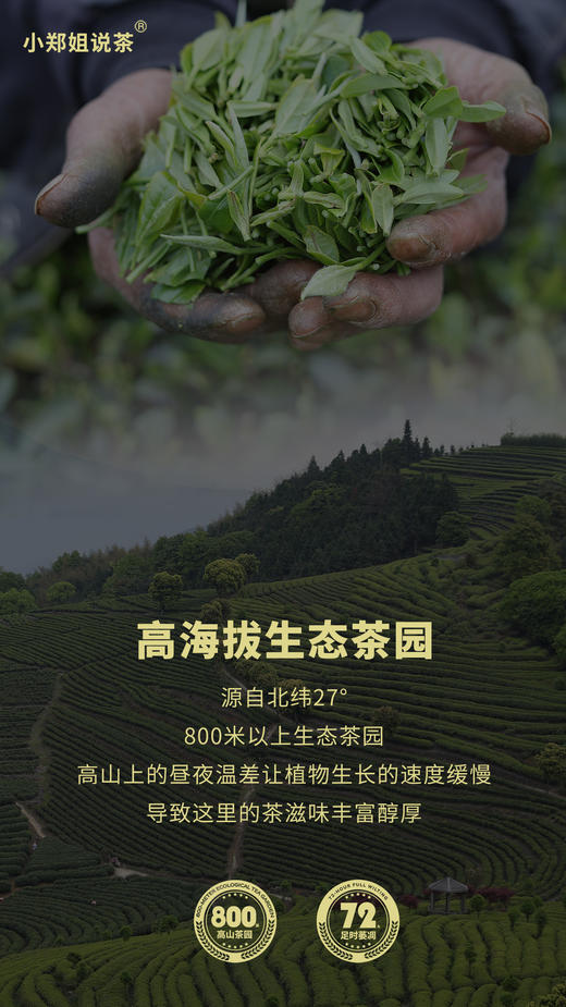 2013年 闽白时代·老白茶（寿眉） 中雄御品300g 商品图2