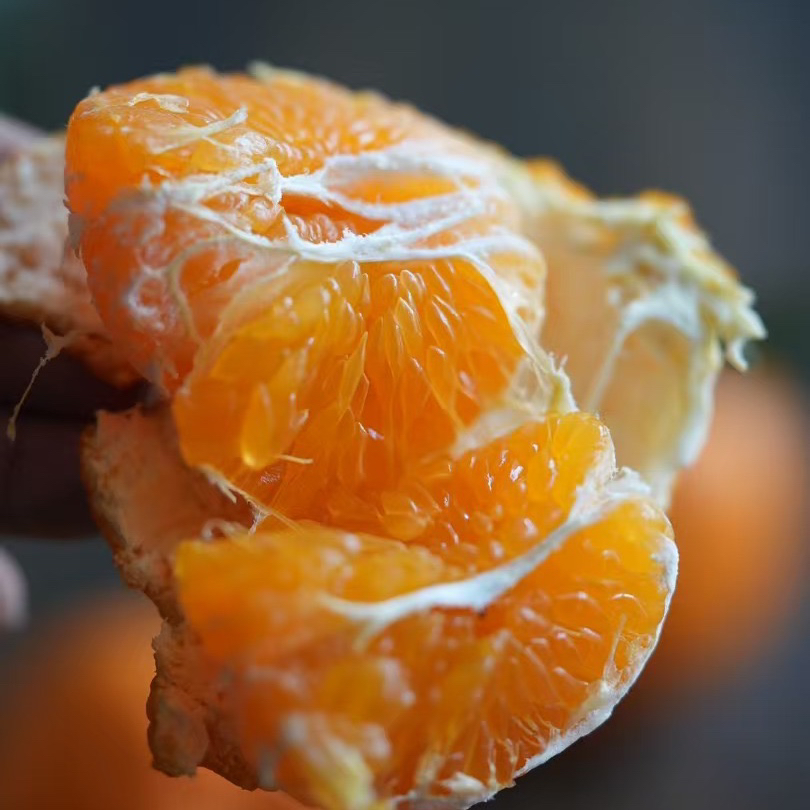 丹棱春见耙耙柑，酸甜爆汁，发顺丰陆运