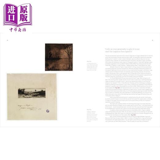 【中商原版】Astonishing Things: The Drawings of Victor Hugo 进口艺术 惊世骇俗 维克多 雨果的绘画 商品图3