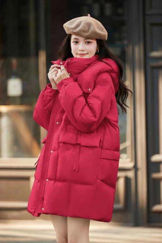 HAYES 长款白鸭绒外套 19850 商品图1