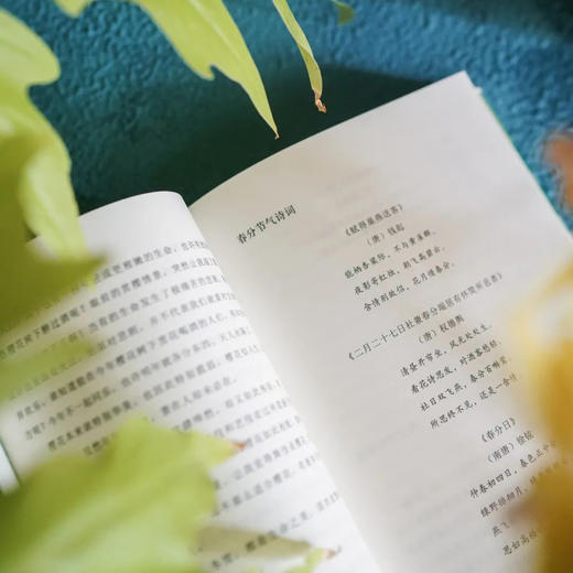 预售 《二十四节气生活美学》 商品图3