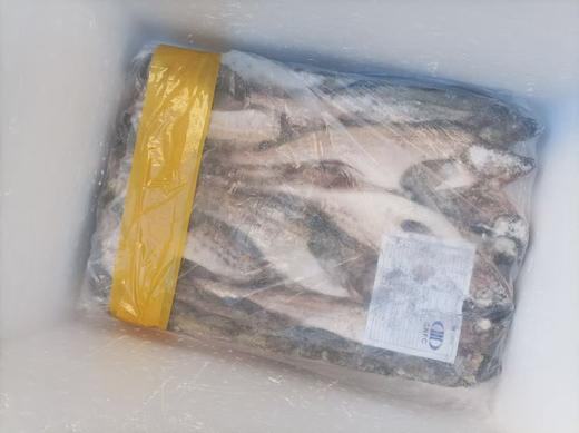 냉동명태/동태  두마리 (1200g좌우） 冷冻新鲜整条明太鱼 2条（2斤半左右） 商品图1