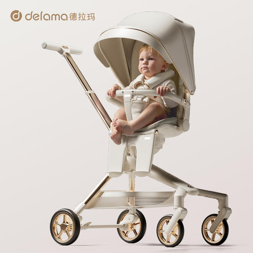 Delama德拉玛  Q2高景观推车 商品图4