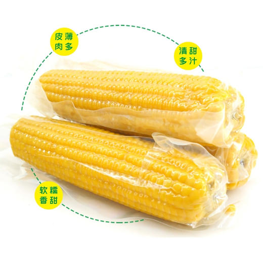 东北香甜软糯黄玉米双鸭山甜糯玉米10个/箱真空包装【龙菲精选】 商品图0