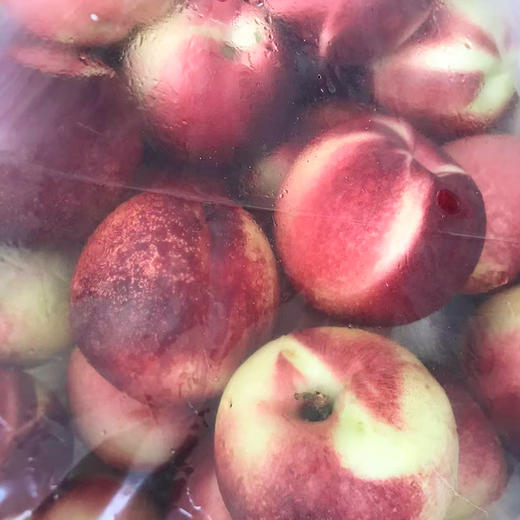 智利桃驳李原箱 52-56# 商品图3