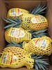 金钻凤梨 商品缩略图5