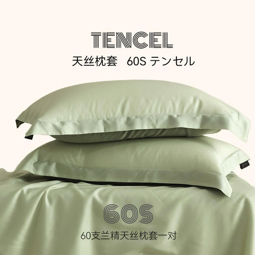 【60S莱赛尔天丝单枕套】天丝枕套60S兰精天丝凉感枕头套纯色一对48X74cm单品 商品图0