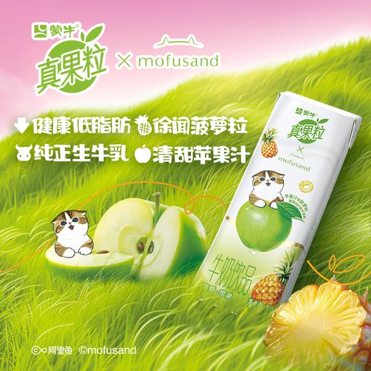 【真果粒x鲨鱼猫】真果粒缤纷果粒菠萝苹果/白桃树莓/芒果百香果味笑脸包240g×10包（鲨鱼猫IP装） 商品图7