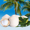 越南进口椰青 商品缩略图0