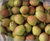 红香酥/500g 商品缩略图0