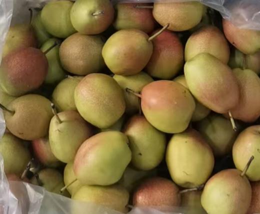 红香酥/500g 商品图0