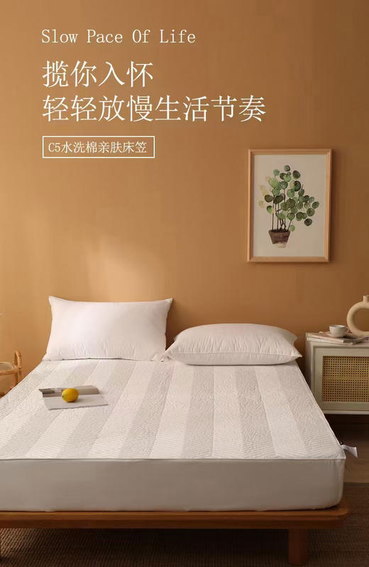 C5水洗棉亲肤床笠 商品图2