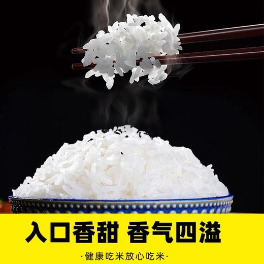 【蓝丽隆定制】新米五常大米俊旺东北黑龙江原粮稻米花香2号农民大米gb19266 商品图3
