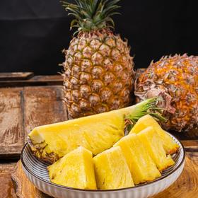 海南金钻凤梨4.5-8斤装水果