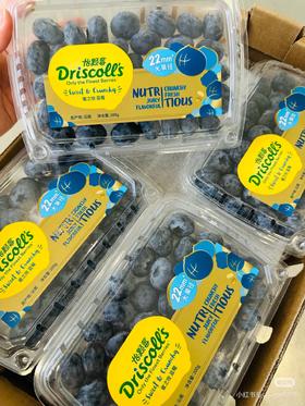 【BF】22#钻石蓝莓王200g