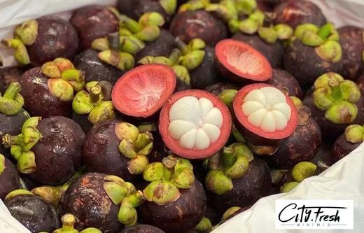 【BF】山竹56.8/500g 商品图0