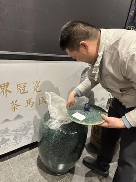 酝酿了两年的易武一类薄荷塘！！王总亲自开坛！