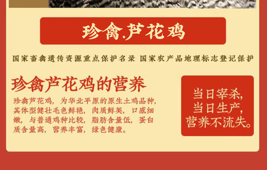 【德州扒鸡】德州扒鸡珍禽芦花鸡700g-保质期60天 顺丰包邮山东特产非遗技艺卤味熟食 商品图1
