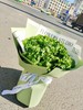 生菜（财）花束 商品缩略图1