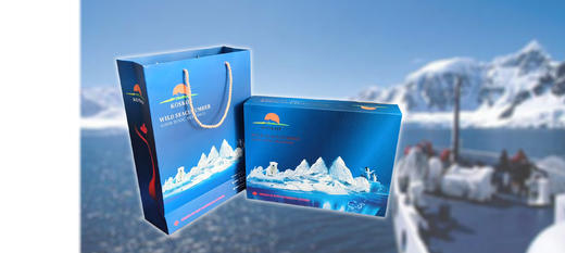 KOSKOE海参 豪华礼盒454g装 商品图5