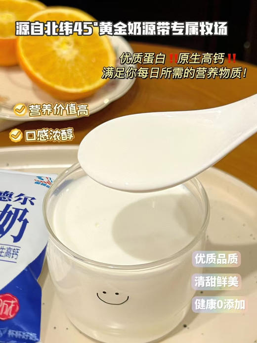 新疆莫丽德尔纯牛奶200ml×20袋 商品图3