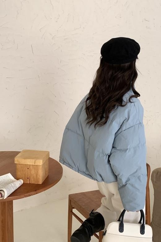 HAYES 立领宽松保暖羽绒外套 19838 商品图5